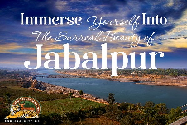 gorakhpur to jabalpur cabs